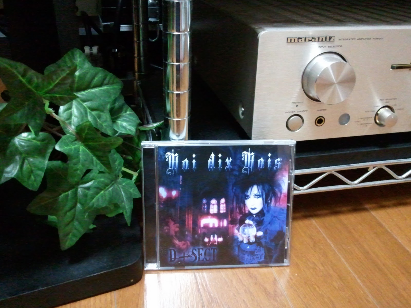 Moi dix Mois『D+SECT』